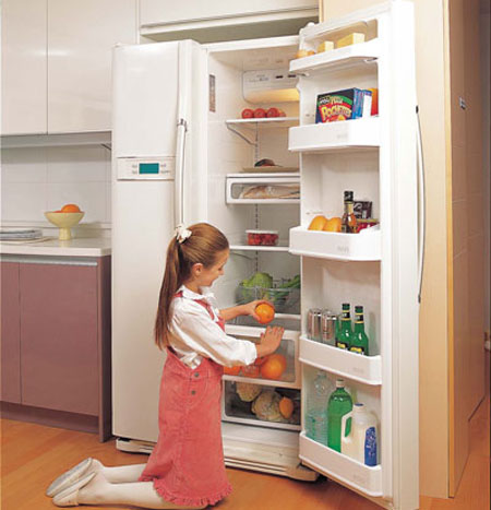 Hướng dẫn lựa chọn tủ lạnh Samsung